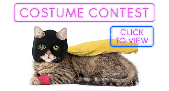 adult-swim-costume-contest-large